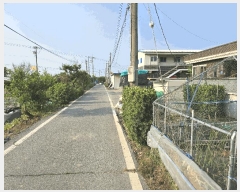  2025Ÿ��11791  ���������