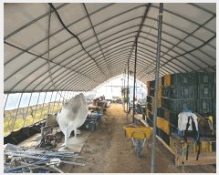  2025Ÿ��11791  ���������