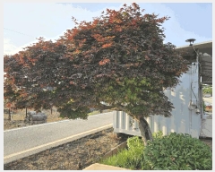  2025Ÿ��11791  ���������