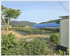  2025Ÿ��11791  ���������