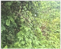  2025Ÿ��11818 �泲 õ�Ƚ� ���ϱ� ���ϵ� 213-1      ����(��1)���