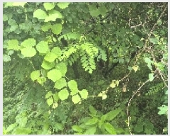  2025Ÿ��11818 �泲 õ�Ƚ� ���ϱ� ���ϵ� 213-1      ����(��1)���