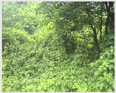  2025Ÿ��11818 �泲 õ�Ƚ� ���ϱ� ���ϵ� 213-1      ����(��1)���