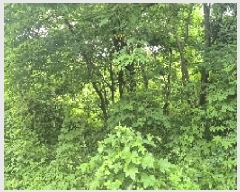  2025Ÿ��11818 �泲 õ�Ƚ� ���ϱ� ���ϵ� 213-1      ����(��1)���