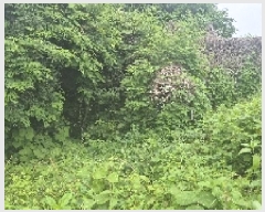  2025Ÿ��11818 �泲 õ�Ƚ� ���ϱ� ���ϵ� 213-1      ����(��1)���