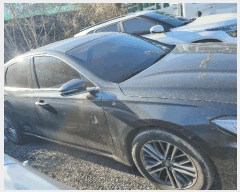  2025Ÿ��12602  �������