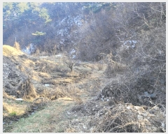  2025Ÿ��30 �泲 ���ֽ� �켺�� �湮�� 640      ����(��1)���