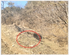  2025Ÿ��30 �泲 ���ֽ� �켺�� �湮�� 640      ����(��1)���