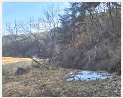  2025Ÿ��30 �泲 ���ֽ� �켺�� �湮�� 640      ����(��1)���