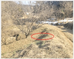  2025Ÿ��30 �泲 ���ֽ� �켺�� �湮�� 640      ����(��1)���