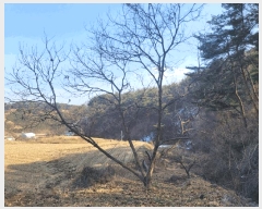  2025Ÿ��30 �泲 ���ֽ� �켺�� �湮�� 640      ����(��1)���