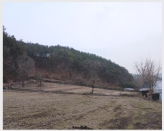  2025Ÿ��46  �Ӿ߰��