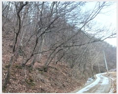  2025Ÿ��46  �Ӿ߰��