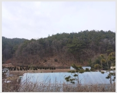  2025Ÿ��46  �Ӿ߰��