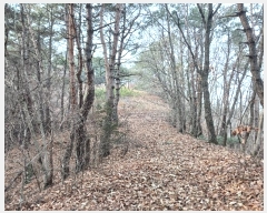  2025Ÿ��46  �Ӿ߰��