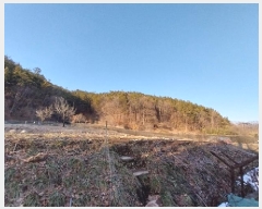  2025Ÿ��46  �Ӿ߰��