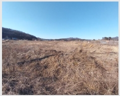  2025Ÿ��20163  ����