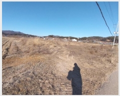  2025Ÿ��20163  ����