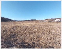  2025Ÿ��20163  ����