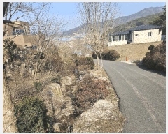  2025Ÿ��20220  ���ð��