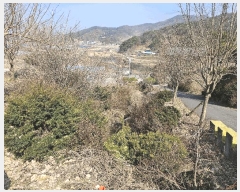  2025Ÿ��20220  ���ð��