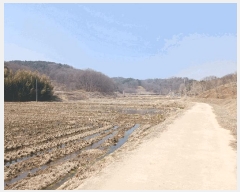  2025Ÿ��20229  ����