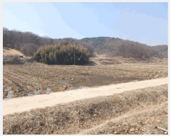  2025Ÿ��20229  ����