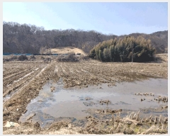  2025Ÿ��20229  ����