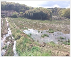  2025Ÿ��20229  ����