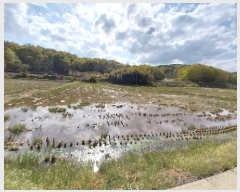  2025Ÿ��20229  ����