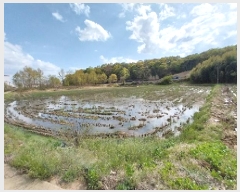  2025Ÿ��20229  ����