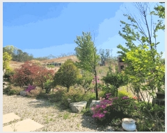  2025Ÿ��20240 �泲 ���ֽ� �Ǵ�� ���и� 34-2      ���ð��