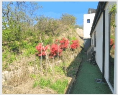  2025Ÿ��20240 �泲 ���ֽ� �Ǵ�� ���и� 34-2      ���ð��