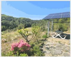  2025Ÿ��20240 �泲 ���ֽ� �Ǵ�� ���и� 34-2      ���ð��