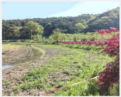  2025Ÿ��20267  ����