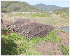  2025Ÿ��20267  ����