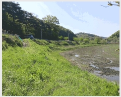  2025Ÿ��20267  ����