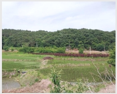  2025Ÿ��20267  ����