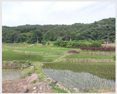  2025Ÿ��20267  ����