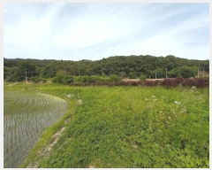  2025Ÿ��20267  ����