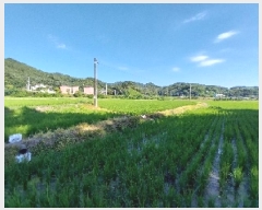  2025Ÿ��20292 �泲 ���ֽ� �̵ֹ� 142       ����(��)���