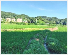  2025Ÿ��20292 �泲 ���ֽ� �̵ֹ� 142       ����(��)���