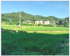  2025Ÿ��20292 �泲 ���ֽ� �̵ֹ� 142       ����(��)���