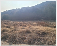  2025Ÿ��15 �泲 ���ֽ� ���� ���︮ 359-3      ����(��)���