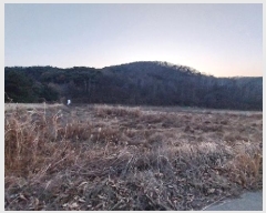  2025Ÿ��15 �泲 ���ֽ� ���� ���︮ 359-3      ����(��)���