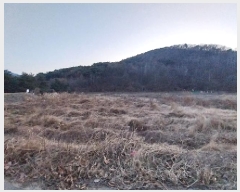  2025Ÿ��15 �泲 ���ֽ� ���� ���︮ 359-3      ����(��)���