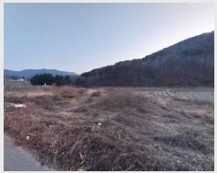  2025Ÿ��15 �泲 ���ֽ� ���� ���︮ 359-3      ����(��)���