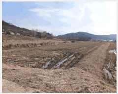  2025Ÿ��23  ����