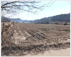  2025Ÿ��23  ����