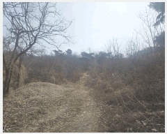  2025Ÿ��27  �Ӿ߰��